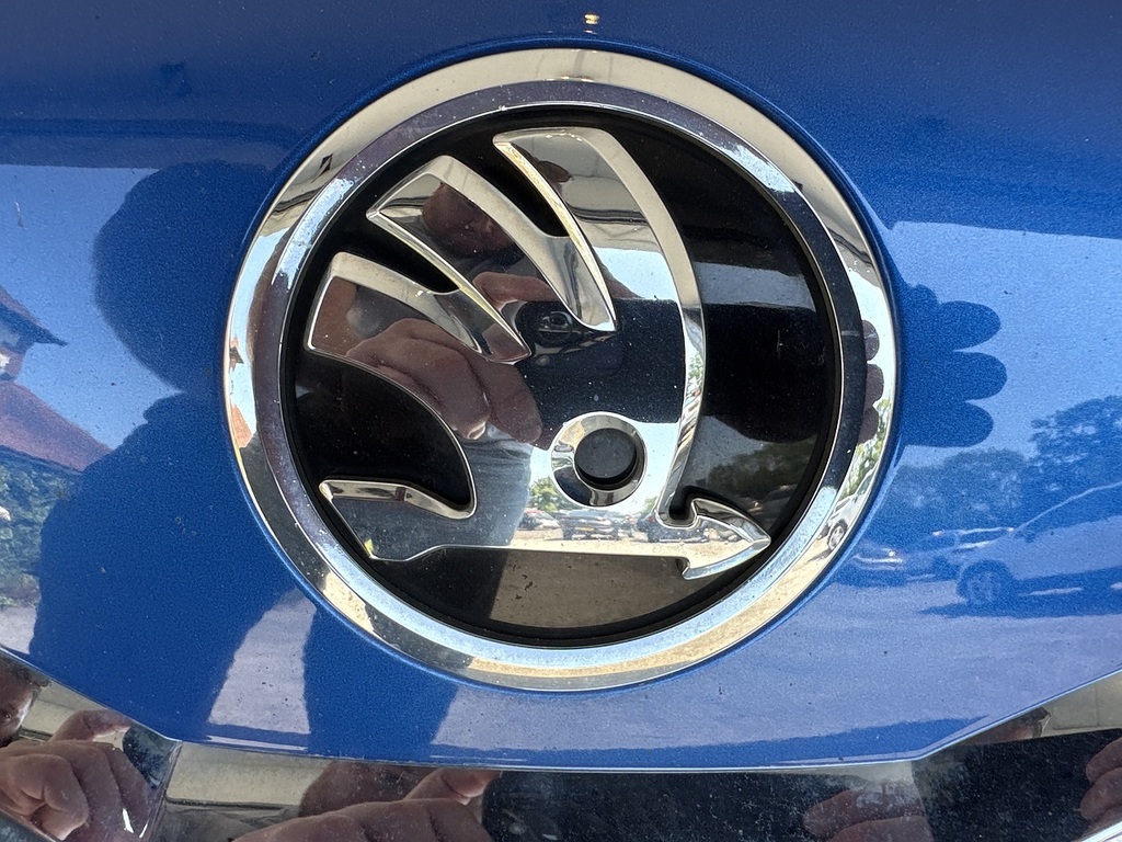Skoda Kamiq  Blue #9