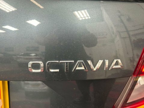 Skoda Octavia 1.6 Tdi Se Technology Dsg Euro 6 Ss Blue #29