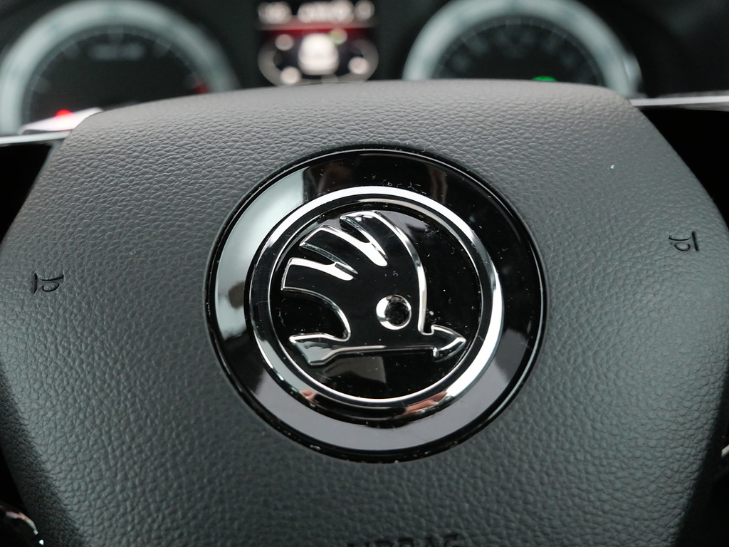 Skoda Karoq 1.5 Tsi Se Silver #34