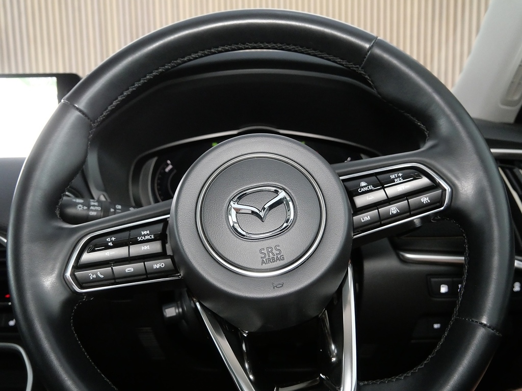 Mazda CX-60 2022 Mazda Cx-60 2.5 Homura Red #32