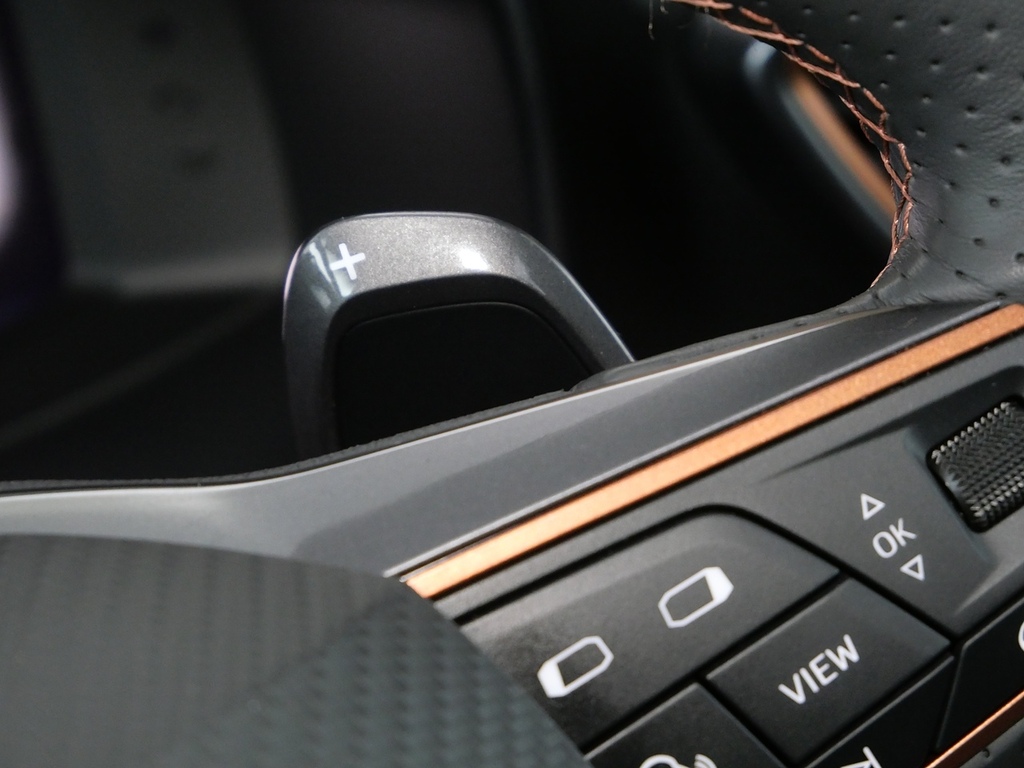 Cupra Formentor V2 Tsi 150 7-Speed Grey #36