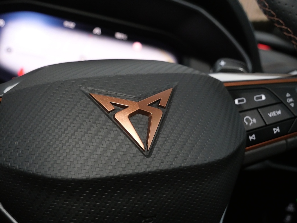 Cupra Formentor V2 Tsi 150 7-Speed Grey #35