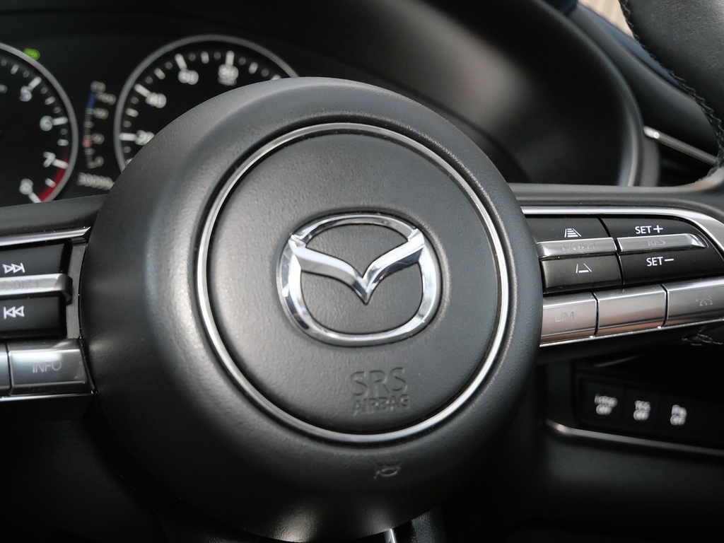 Mazda CX-30 2.0 Skyactiv-x Mhev Gt Sport Tech Euro 6 Ss Red #31