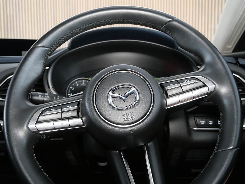 Mazda CX-30 2.0 Skyactiv-x Mhev Gt Sport Tech Euro 6 Ss Red #30