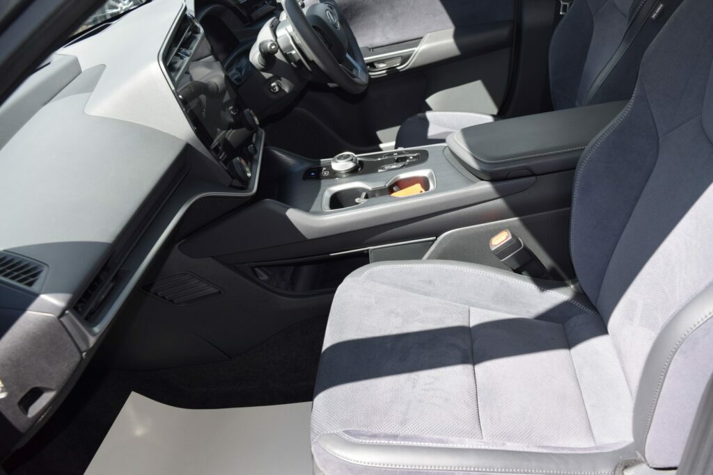 Lexus RZ 300E 71.4Kwh Premium Plus Blue #11