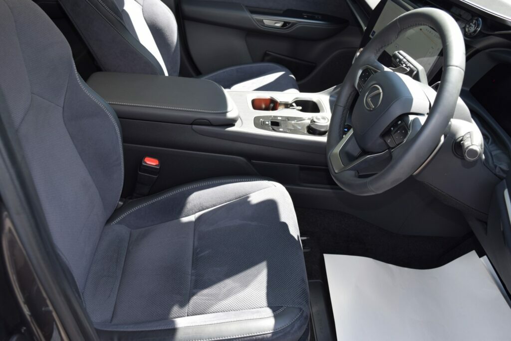 Lexus RZ 300E 71.4Kwh Premium Plus Blue #10