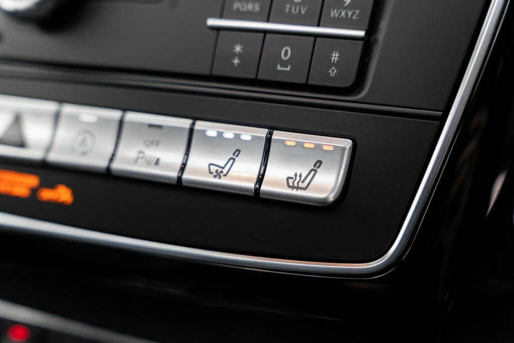 Mercedes-Benz GLS Class Designo Line Black #15