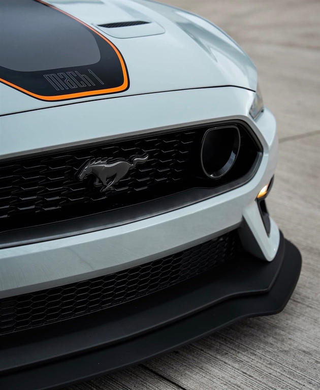 Ford Mustang Mustang Mach 1 Grey #3