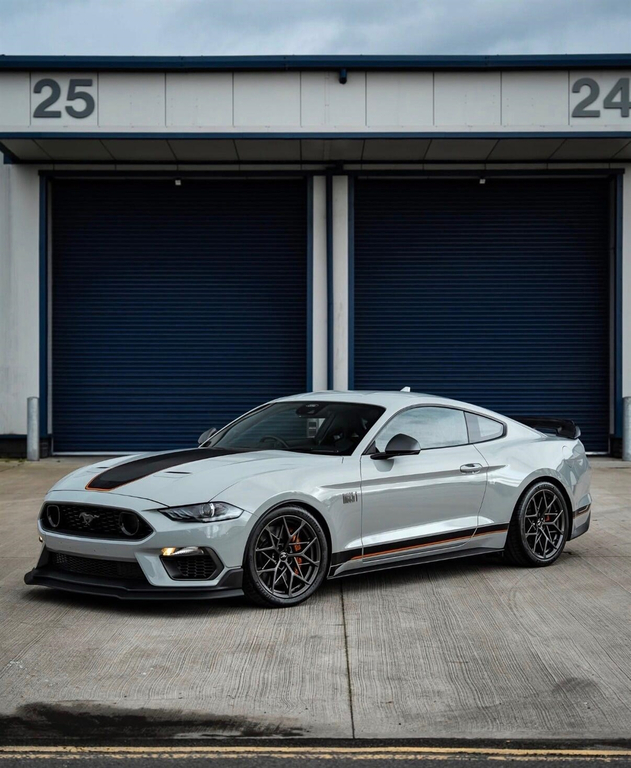 Ford Mustang Mustang Mach 1 Grey