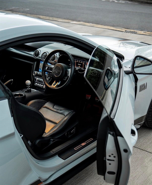 Ford Mustang Mustang Mach 1 Grey #5