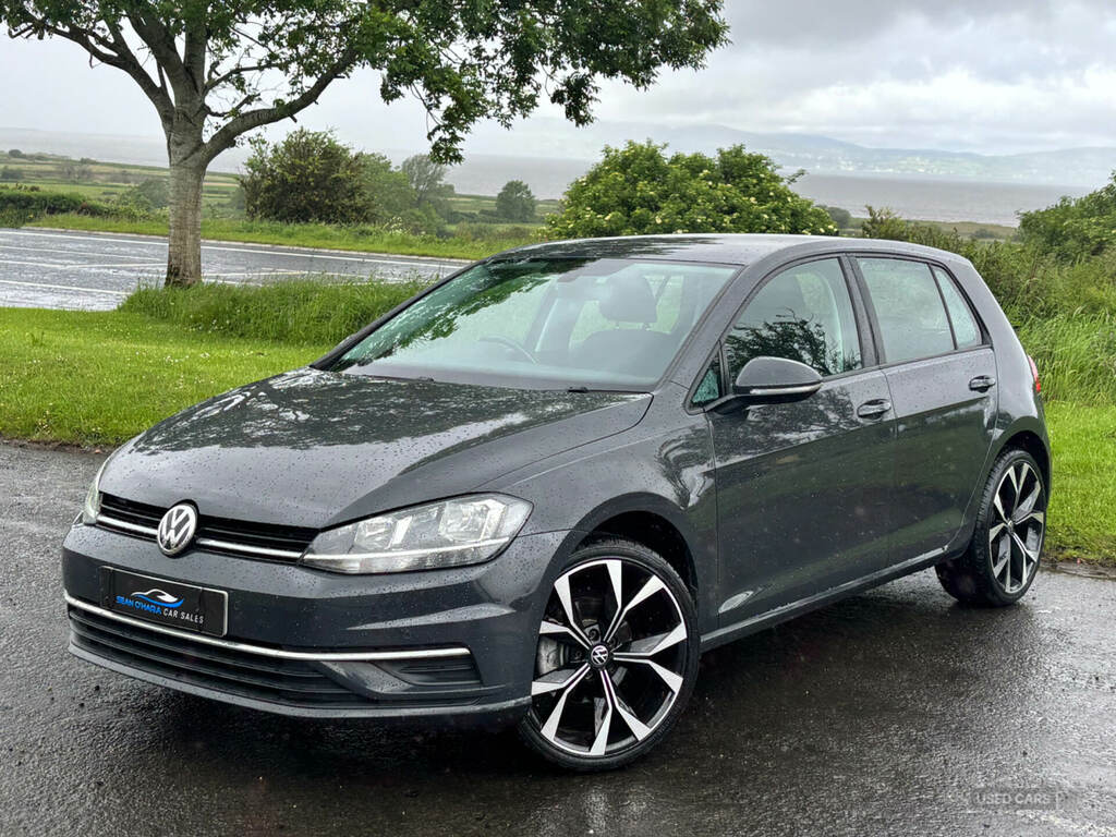 Volkswagen Golf 1.6 Tdi Se Nav Grey