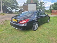 Mercedes-Benz CLS Cls220 Bluetec Amg Line Red #39