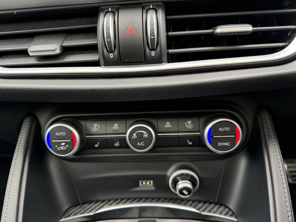 Alfa Romeo Stelvio Stelvio Veloce Td Awd Black #30