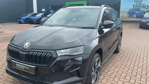Skoda Karoq 1.5 Tsi Se L Edition Dsg Grey #30