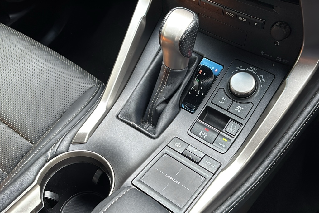 Lexus NX 300H 2.5 Sport Cvt Grey #18