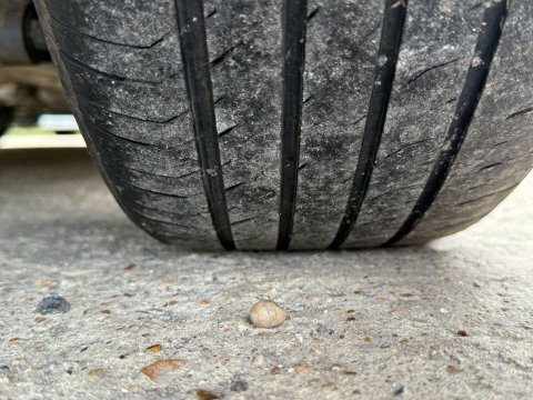 Ford Transit Connect Transit Connect 240 Limit...  #32