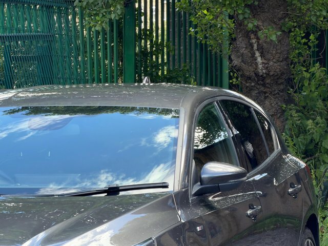Ford Focus 1.5 Ecoblue St-line Vignale Euro 6 Ss Red #12