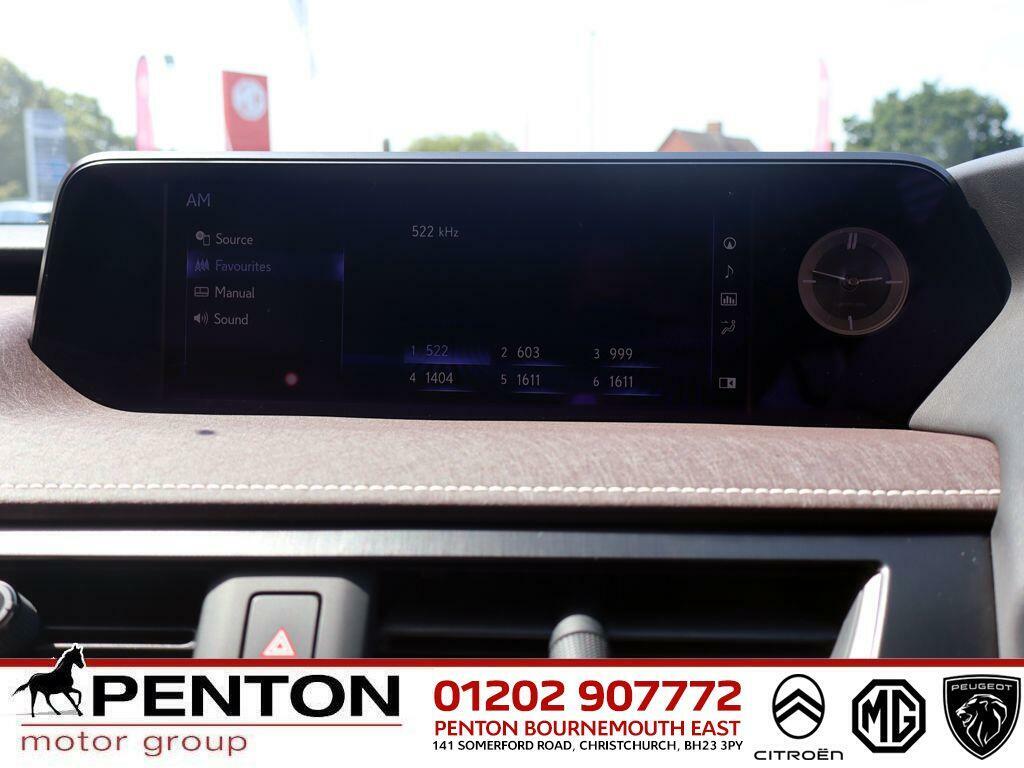 Lexus UX 250H F Sport Design Grey #15
