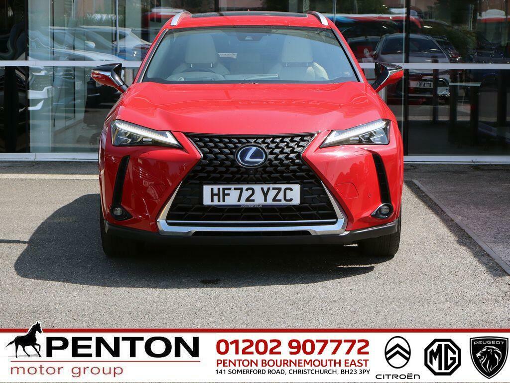 Lexus UX 250H F Sport Design Grey #28