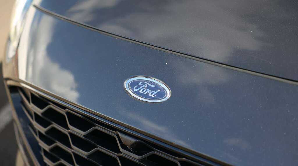 Ford Kuga 2.5 Fhev St-line X Edition Cvt LE73JSV Grey #5