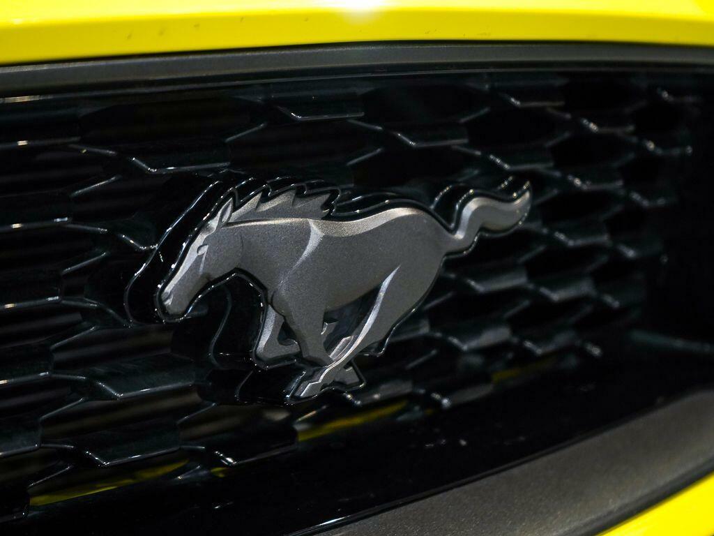 Ford Mustang Convertible Convertible 200621 Blue #42