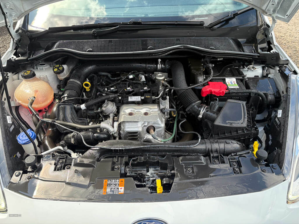 Ford Fiesta 1.0 Ecoboost St-line OGZ3685 White #6