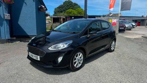 Ford Fiesta Zetec #3