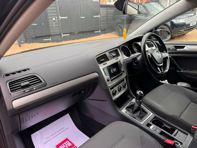 Volkswagen Golf Grey #10