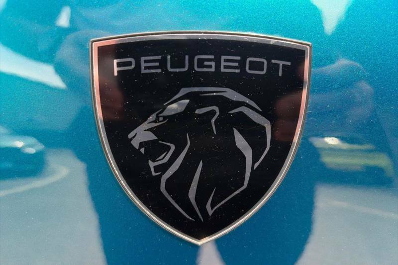 Peugeot 157Kw Gt 73Kwh - 2025 25 White #30