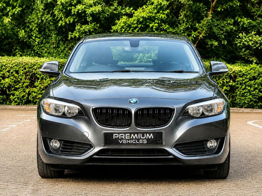 BMW 2 Series Gran Coupe Coupe 1.5 218I Se Euro 6 Ss 201666 Grey #4