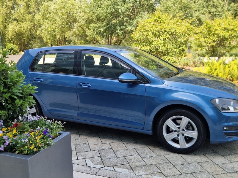 Volkswagen Golf 1.6 Tdi Bluemotion Tech Blue #6