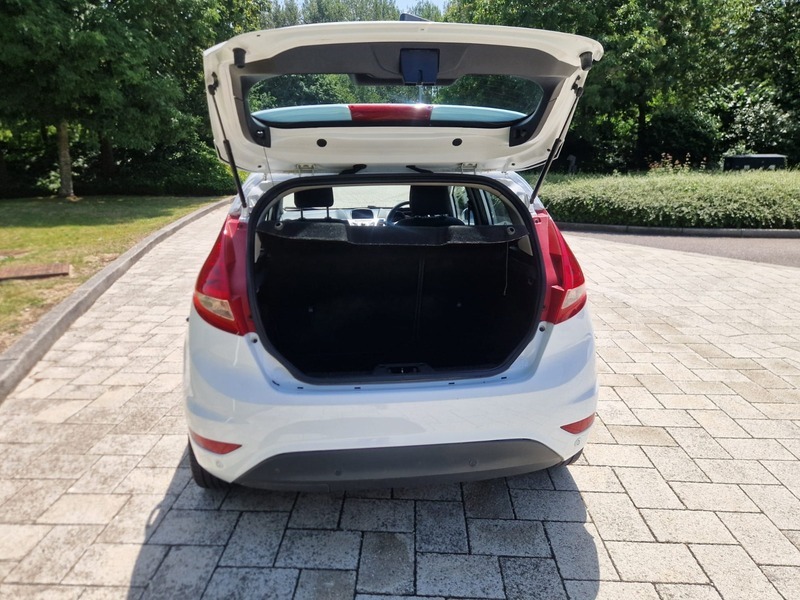 Ford Fiesta 1.4 Titanium Pink #23