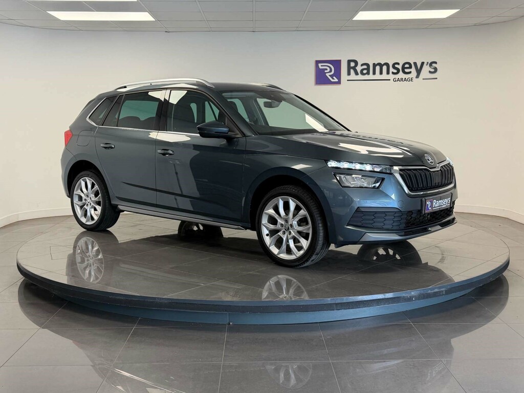 Skoda Kamiq Se Grey #1