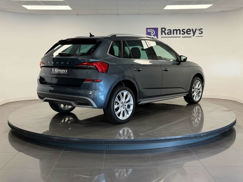 Skoda Kamiq Se Grey #4