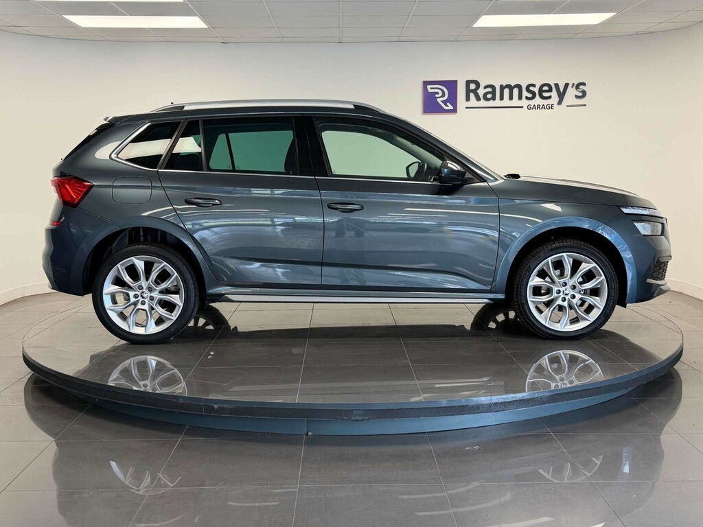 Skoda Kamiq Se Grey #5