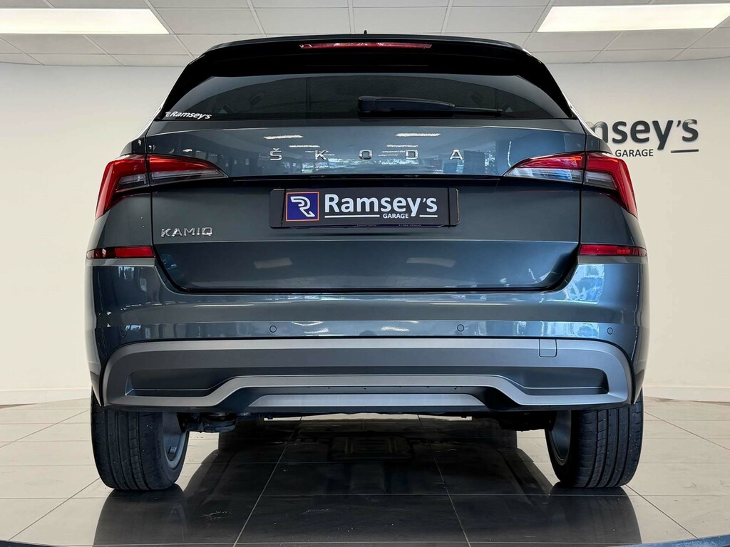 Skoda Kamiq Se Grey #33