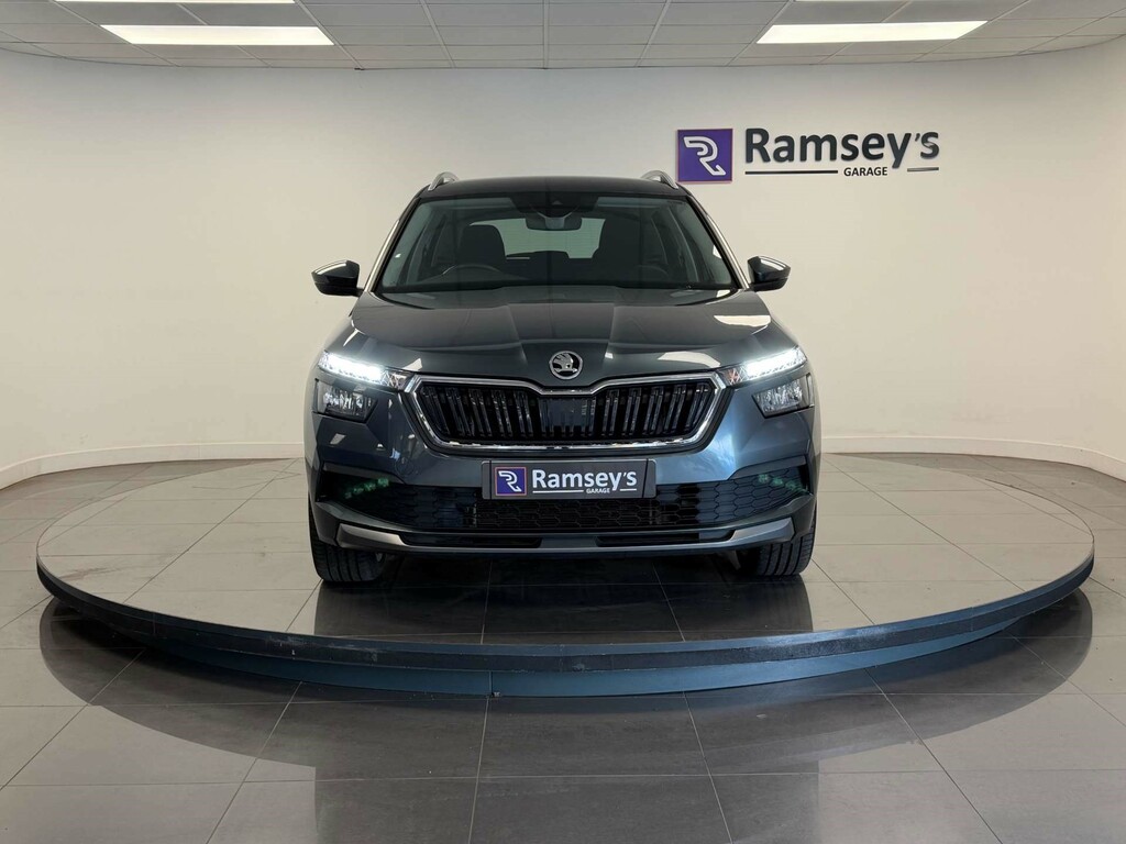 Skoda Kamiq Se Grey #25