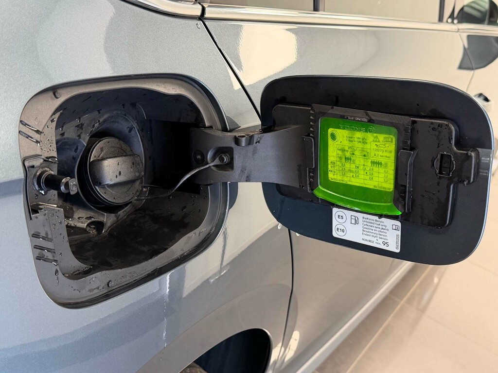 Skoda Kamiq Se Grey #36