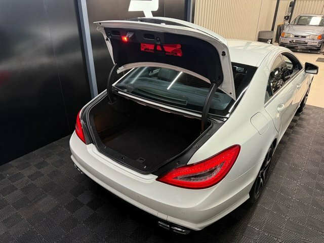 Mercedes-Benz CLS Cls250 Cdi Blueefficiency Amg Black #60