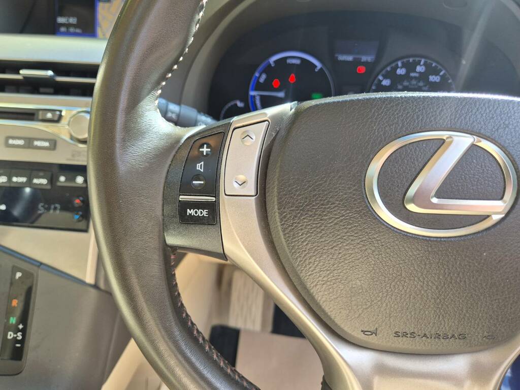 Lexus RX Premier Red #22