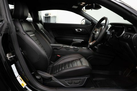 Ford Mustang Coupe 5.0 Grey #13