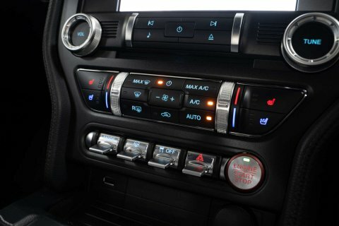 Ford Mustang Coupe 5.0 Grey #7