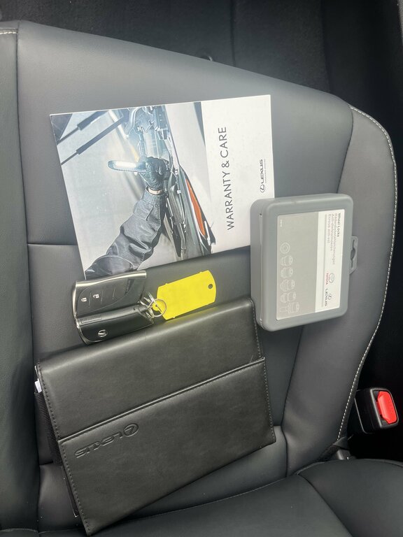 Lexus UX 300E 54.3Kwh Suv 204 Ps Silver #39
