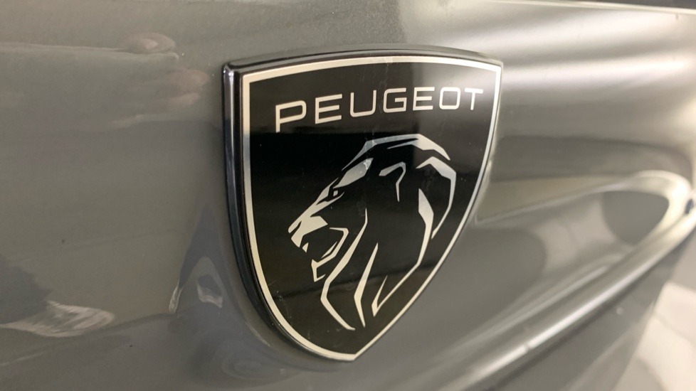 Peugeot 308 Allure Grey #58