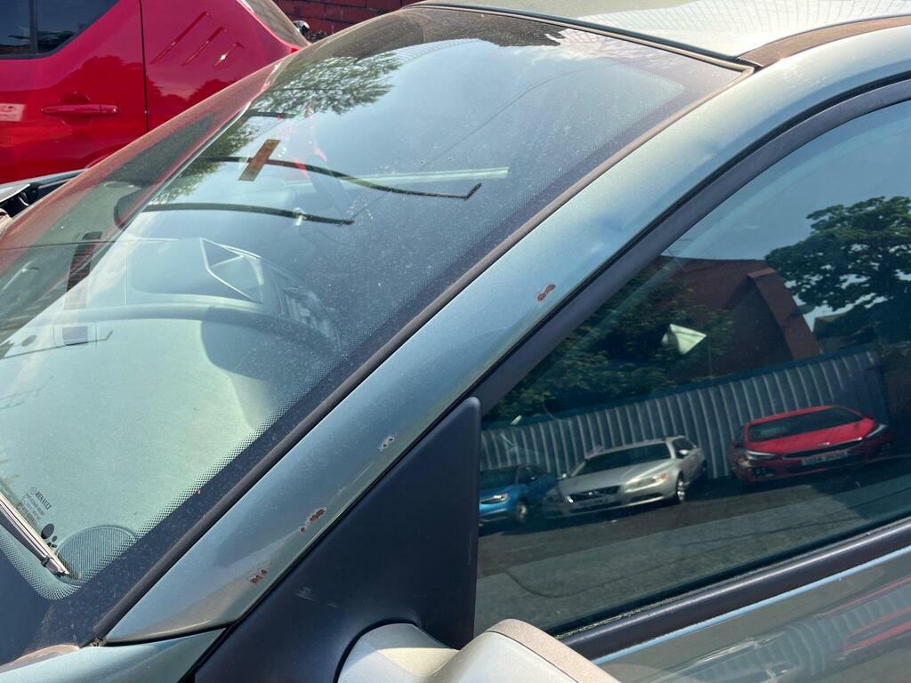 Renault Megane 1.4 16V Dynamique Green #6