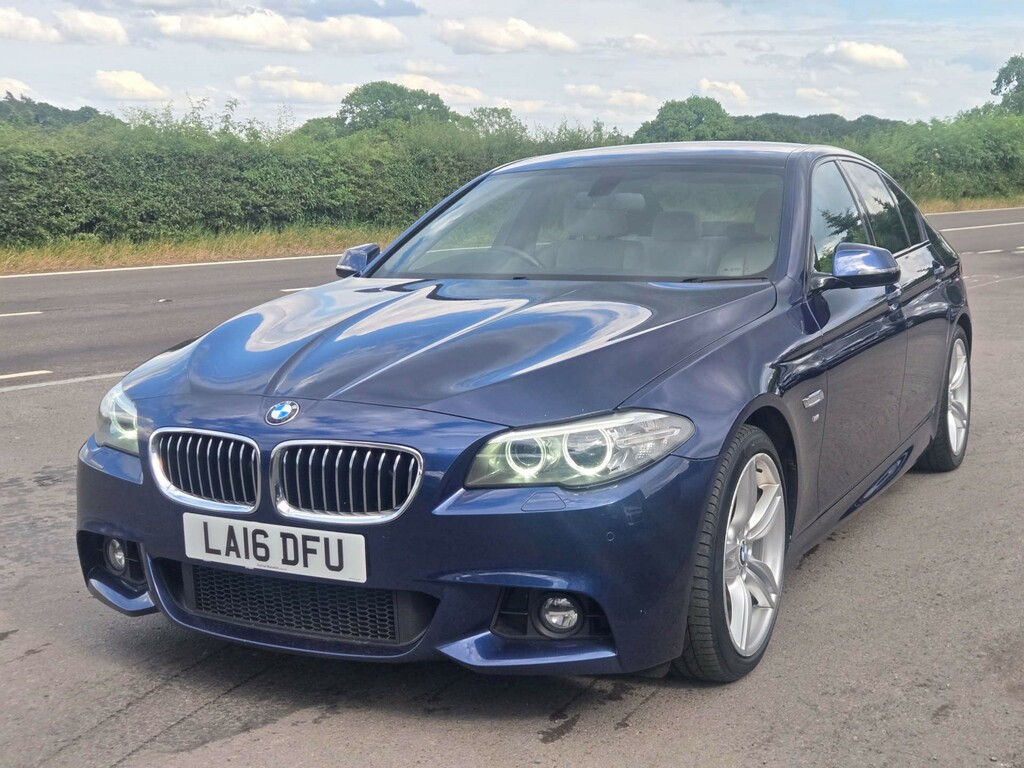 BMW 5 Series 2.0 520D Se Euro 6 Ss Silver #12