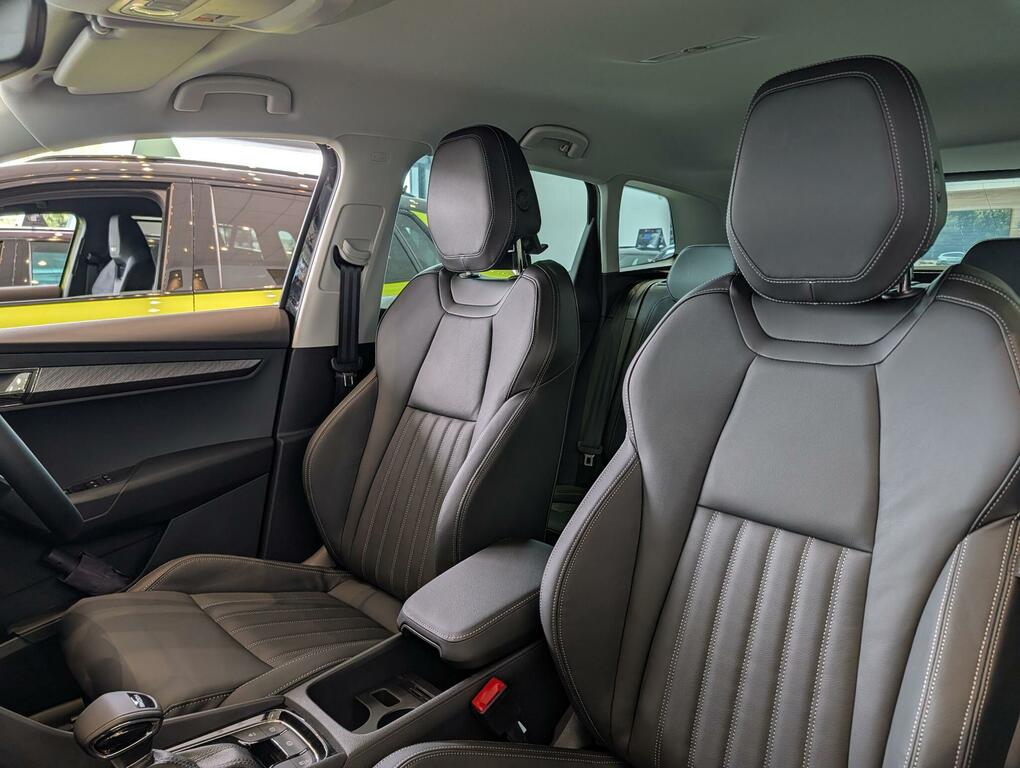 Skoda Karoq Diesel Silver #17