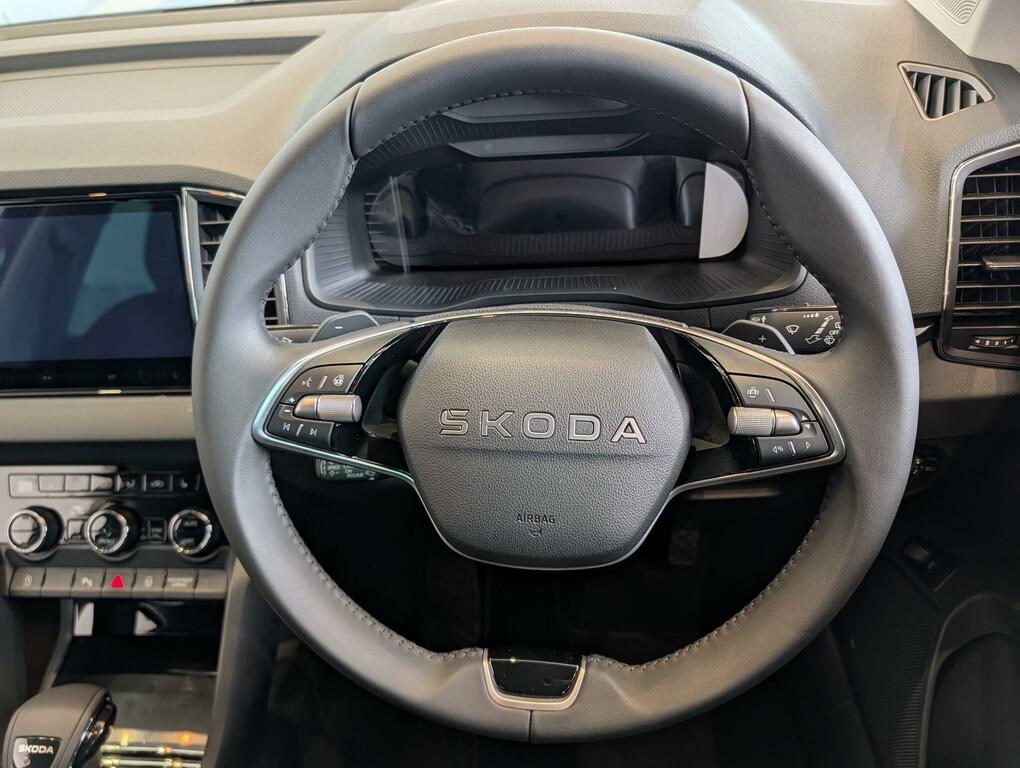Skoda Karoq Diesel Silver #16