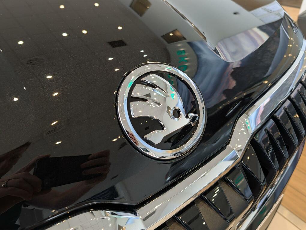 Skoda Karoq Diesel Silver #18