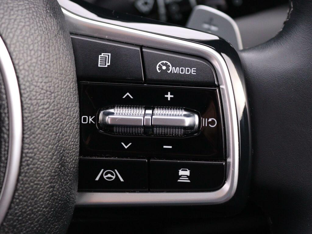 Kia Sorento 2 Brown #32